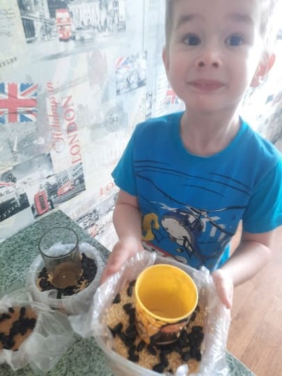 Эко-кормушка для пичужки