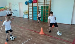 Всероссийская футбольная школа "Академия".